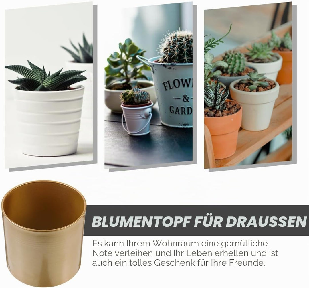 Eisen Pflanztopf Moderner Metall Dekorative Pflanzgefäss Metall Blumentopf mit Entwässerungsloch, Ru