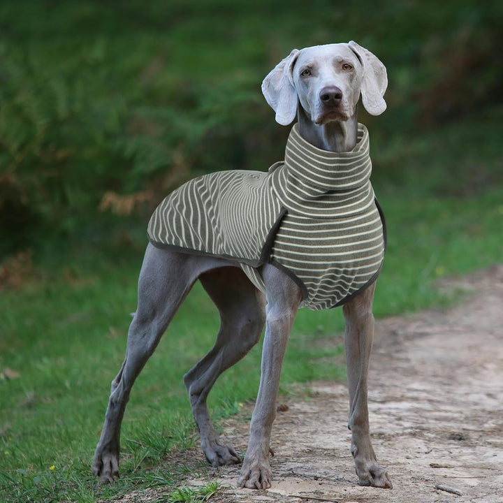 Hundepullover, Hundemantel Fleece, Pullover Hund, Hunde Pullover für kleine, mittelgrosse, grosse Hu