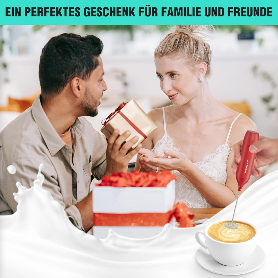 HAUSHOF Milchaufschäumer Stab, Wiederaufladbarer Hand-Milchschäumer, mit Schneebesen aus Edelstahl,