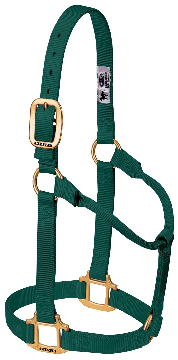 WEAVER Leather, Nicht verstellbares Halfter Jäger-Grün Large Horse, Jäger-Grün Large Horse