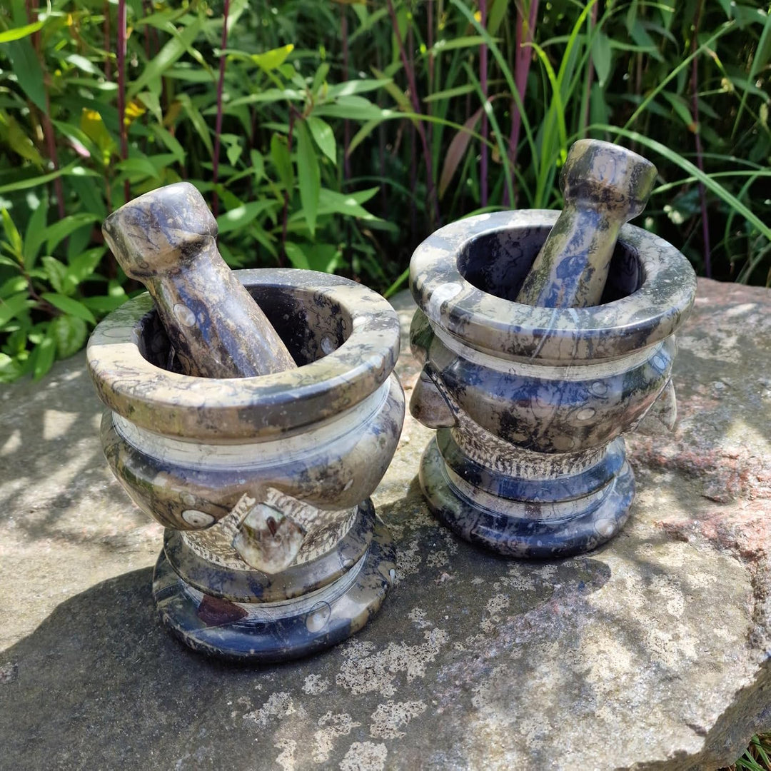Budawi® Orthoceras Gewürz Mörser mit Stössel – Handgefertigter Küchenmörser aus Naturstein – Fossile