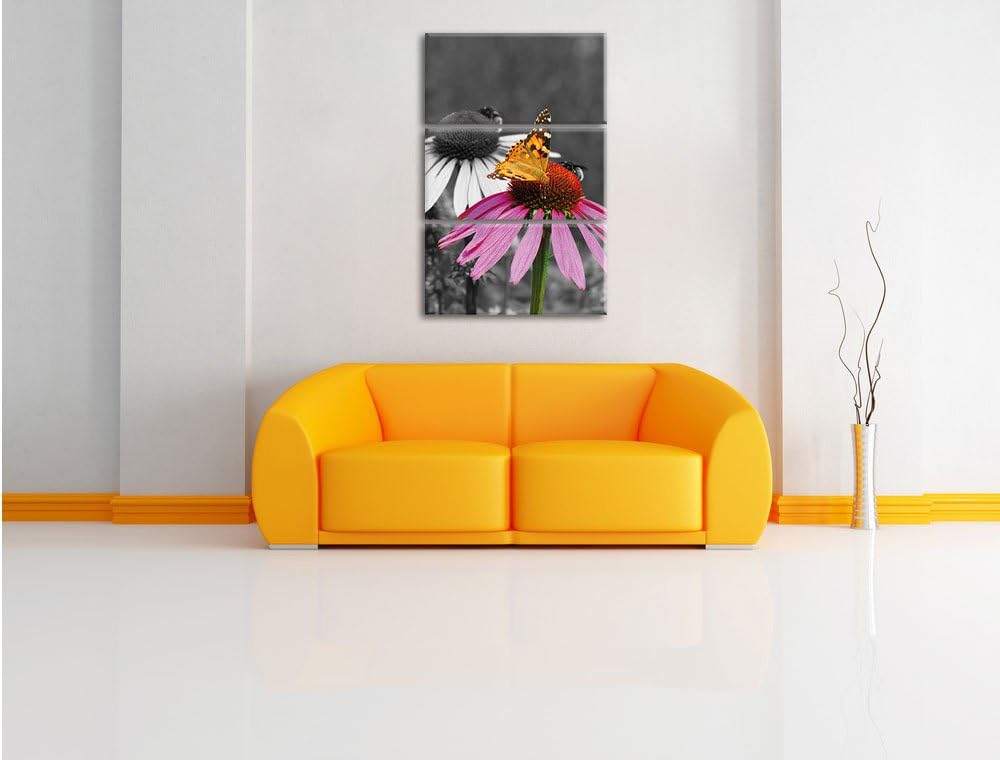 Pixxprint Schmetterling auf Kornblume als Leinwandbild/Grösse: 3 Teilig (120x80) cm/Wandbild/Kunstdr