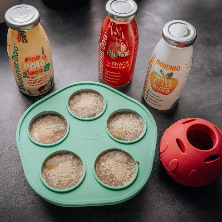 SmoothieDog Schleckball + SmoothieDog Hundesmoothie 6er Mix - Schleckball für Hunde, Snackball, zur