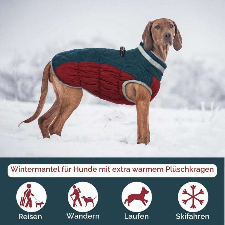 Kuoser Wärme hundemantel, Winddicht hundejacke, Reflektierend hundemantel für kleine Hunde, hundeman