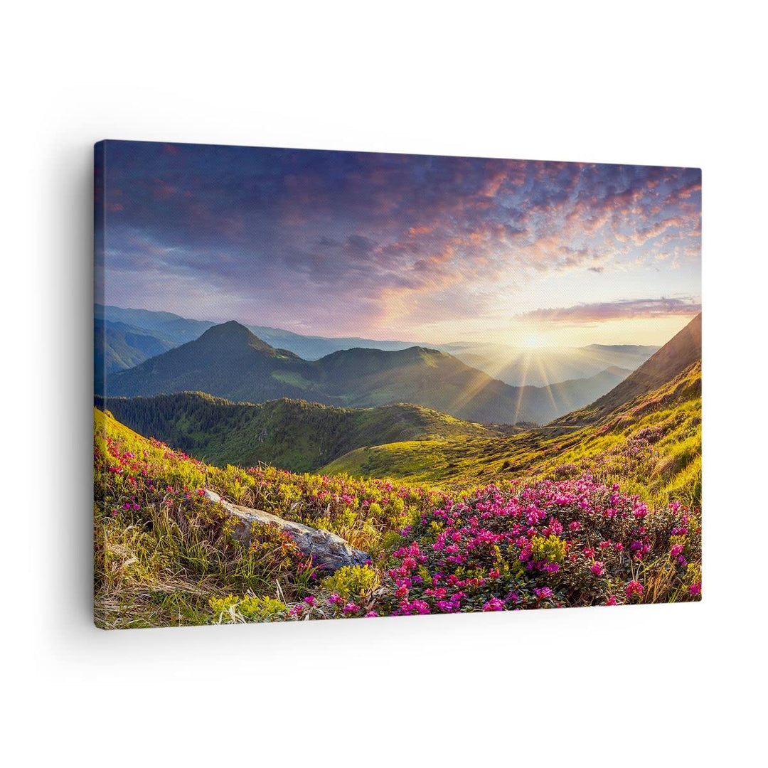 Bilder auf Leinwand Gebirge Wiese Landschaft Wald Leinwandbild 70x50cm Wandbilder Dekoration Wohnzim