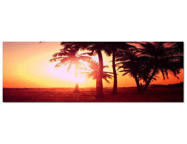 Paul Sinus Art Panoramabild auf Leinwand und Keilrahmen 150x50cm Tropen Palmen Strand Sonnenuntergan