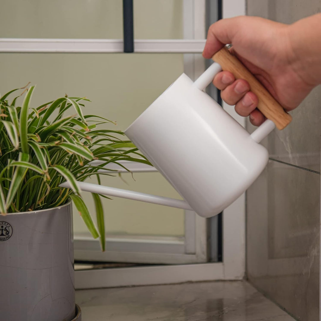 IMEEA Giesskanne Klein 1L Giesskanne Edelstahl Indoor & Outdoor Giesskanne mit langem Auslauf Bewäss