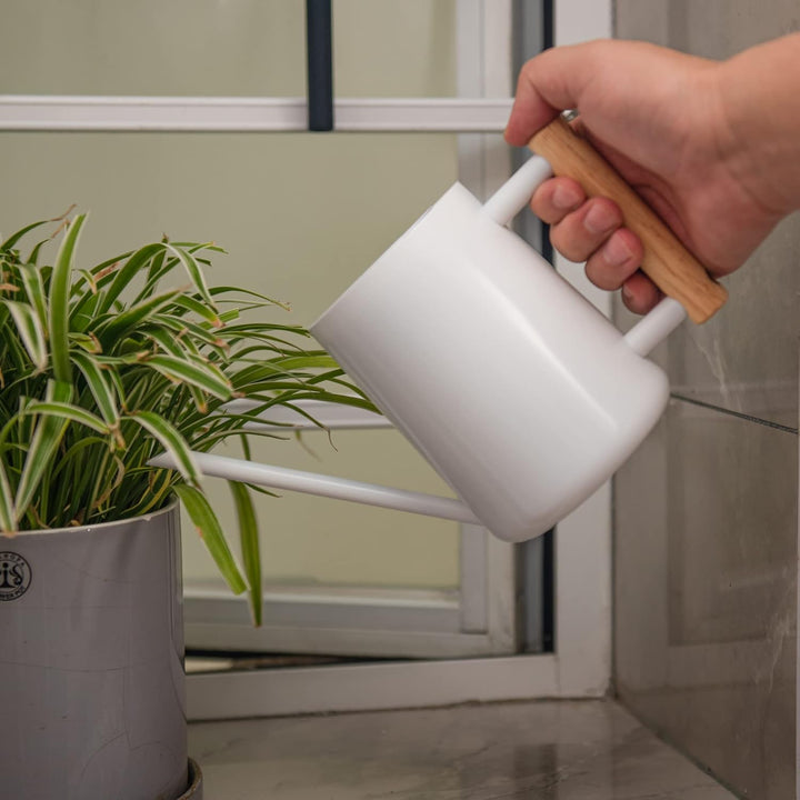 IMEEA Giesskanne Klein 1L Giesskanne Edelstahl Indoor & Outdoor Giesskanne mit langem Auslauf Bewäss