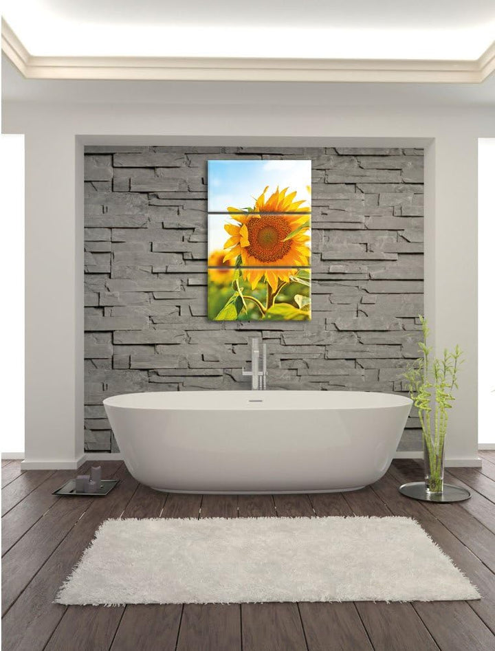 Pixxprint Sonnenblumenfeld SonnenblumeSonne als Leinwandbild/Grösse: 3 Teilig (120x80) cm/Wandbild/K