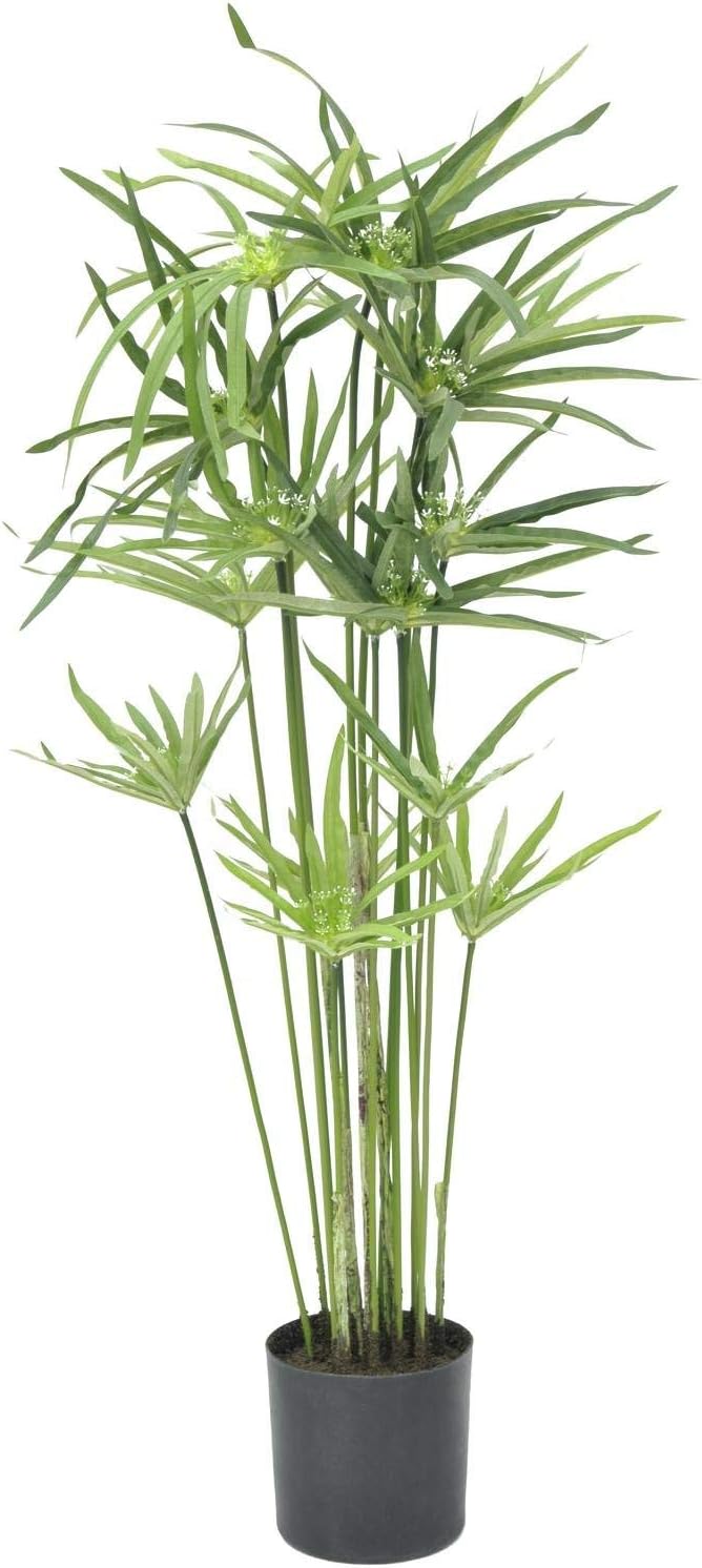 EUROPALMS Zyperngras, künstlich,76cm | Tolle Deko in Wohn- und Geschäftsräumen