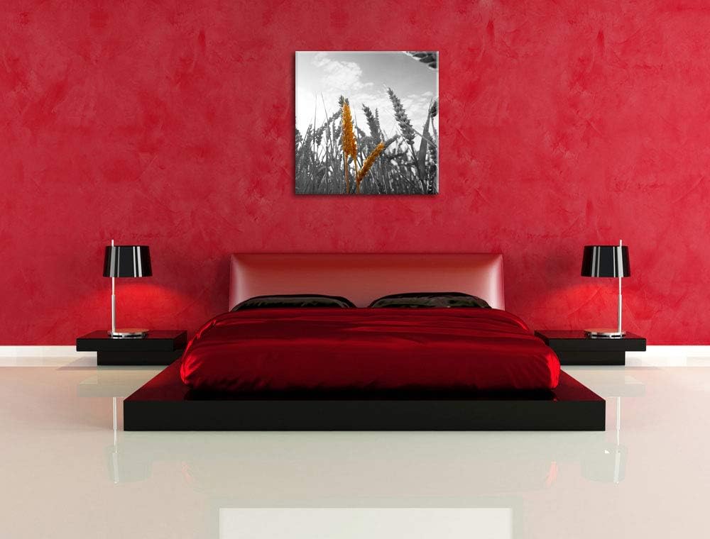 Pixxprint schönes Getreide als Leinwandbild/Grösse: 70x70 cm/Wandbild/Kunstdruck/fertig bespannt, 70
