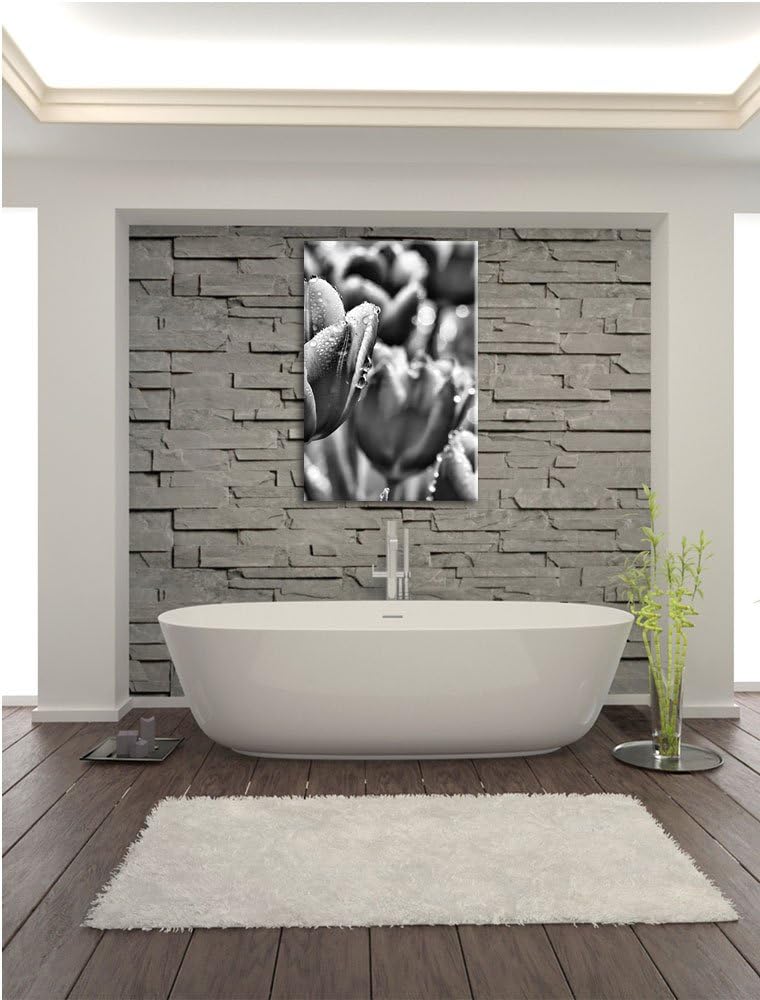 Pixxprint Monocrome, Pinke Tulpen mit Morgentau, Format: 100x70 auf Leinwand, riesige Bilder fertig