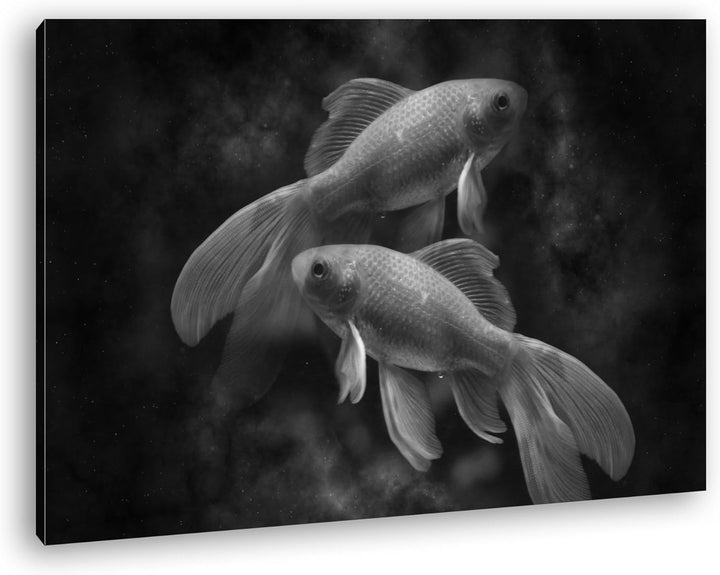 deyoli Dark Sternzeichen Fische Effekt: Schwarz/Weiss Format: 80x60 als Leinwandbild, Motiv fertig g