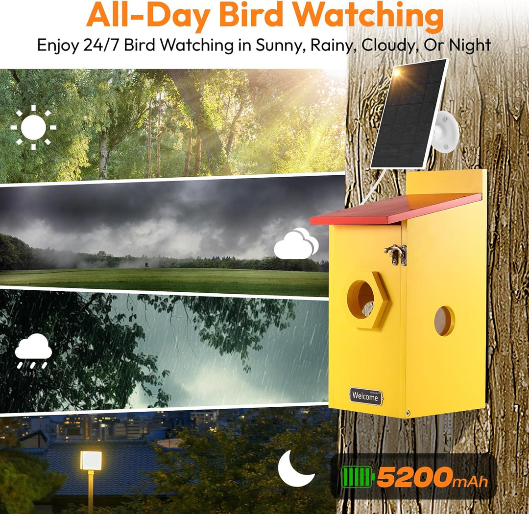 Vogelhaus mit 5MP Kamera Solar WLAN, Bunte Nistkasten zum Aufhängen für Wetterfest, 2,4G WiFi &amp; App