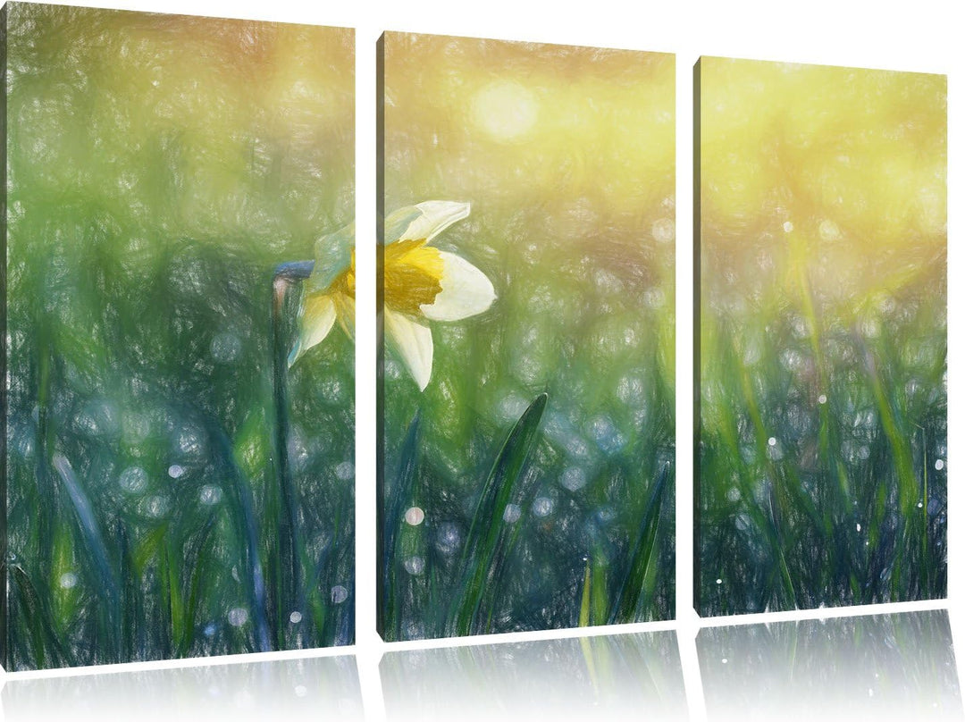 Pixxprint Narzissenblume in der Morgensonne Kunst Buntstift Effekt 3-Teiler Leinwandbild 120x80 Bild