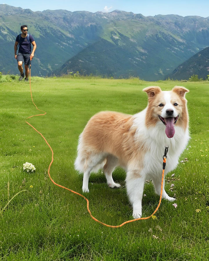 Joytale Schleppleine für Kleine Grosse Hunde, 5m 10m 15m 20m Lang, Gepolsterter Griff, Doppelt Robus
