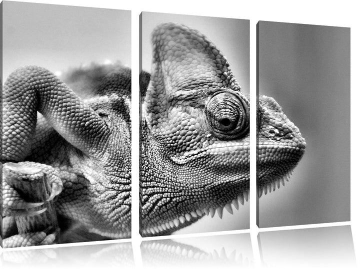 Pixxprint gelbes Chamäleon als Leinwandbild/Grösse: 3 Teilig (120x80) / Wandbild/Kunstdruck/fertig b