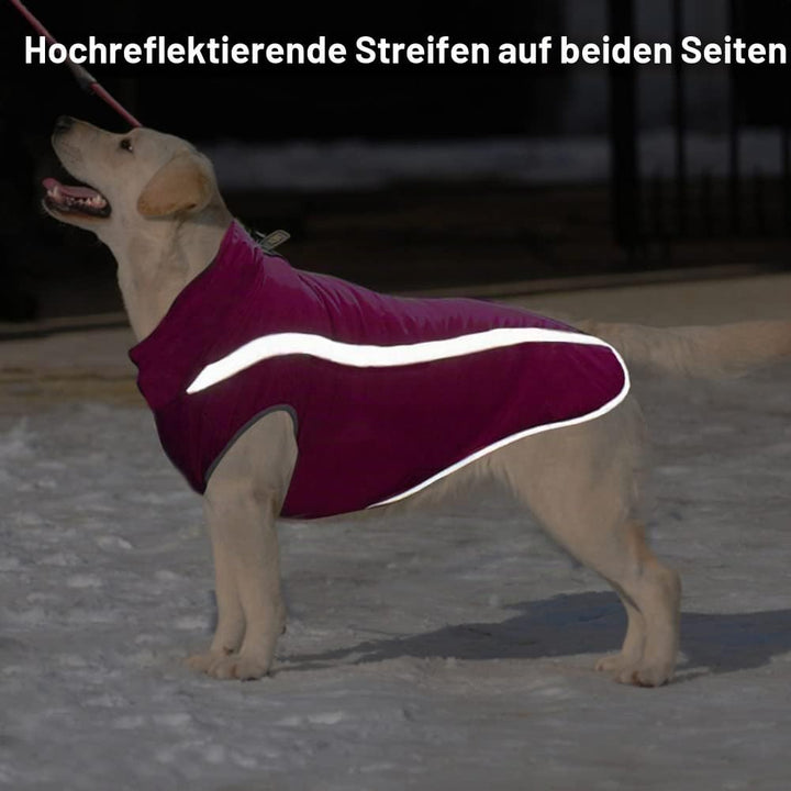 FEimaX Hundemantel Hundejacke wasserdichte Reflektierende Wintermantel mit Fleece Gefüttert Hund Wel