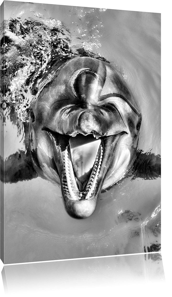 Monocrome, Delfin lacht , Format: 100x70 auf Leinwand, XXL riesige Bilder fertig gerahmt mit Keilrah