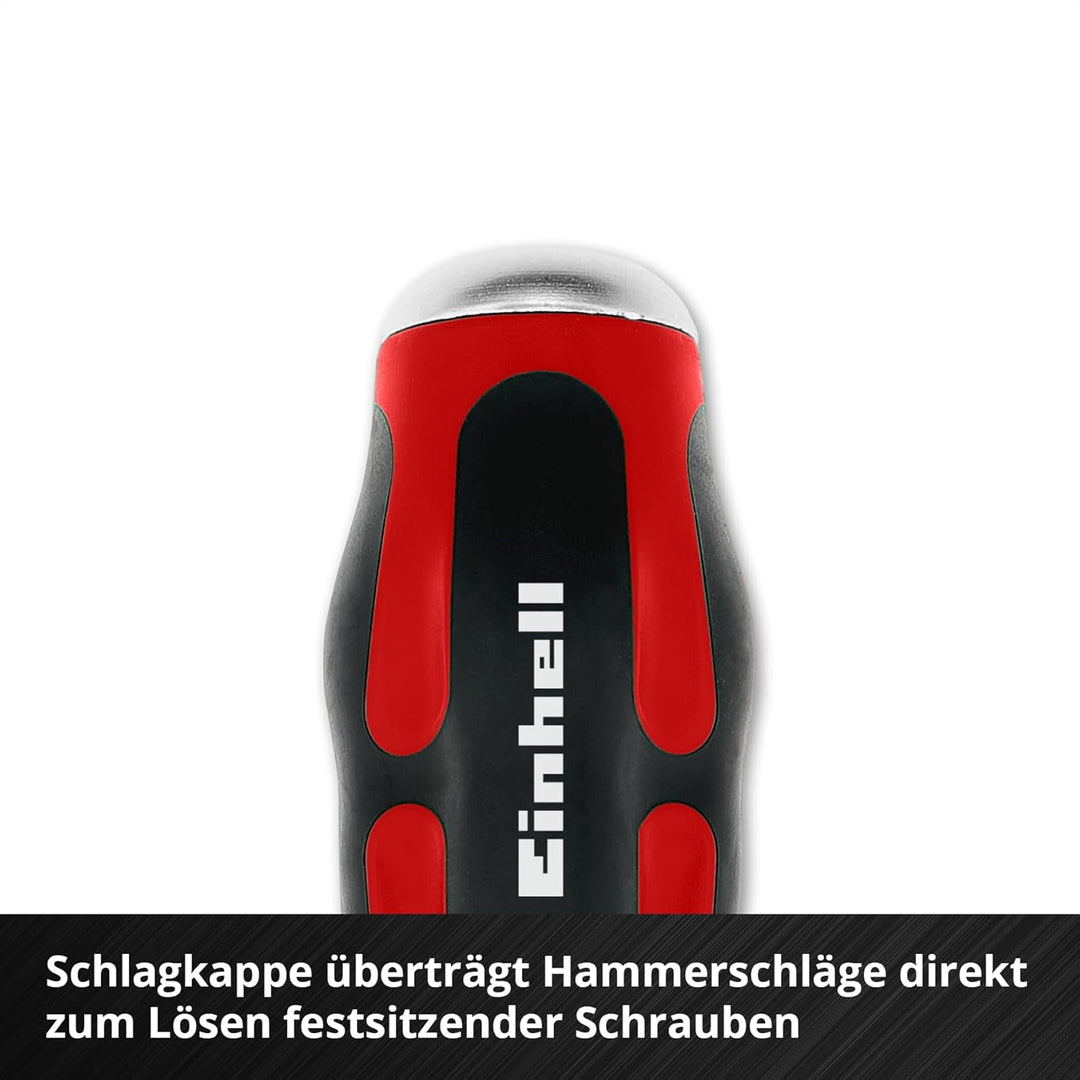 Original Einhell E-Case Pad 17-tlg. Schraubendreher (Vergaser-Schraubendreher, Präzisions-Schraubend