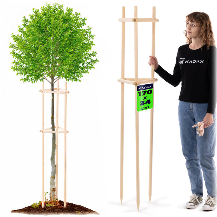 KADAX Baumstütze 170 cm aus robustem Holz, Baumpfahl zur sicheren Fixierung junger Bäume & Sträucher