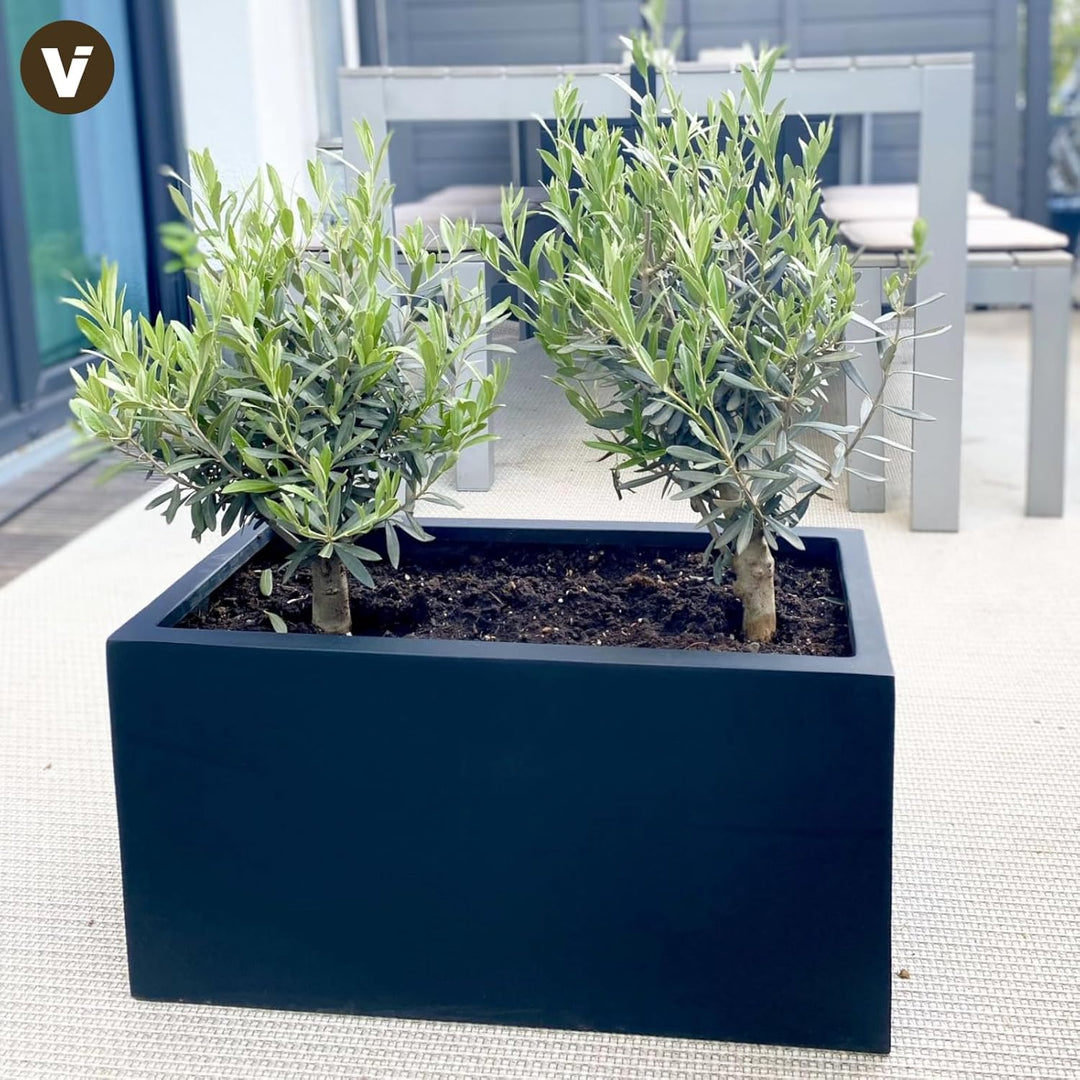 VIVANNO Maxi Pflanztrog, Fiberglas Pflanzgefäss, Rechteckig, Anthrazit, 30x60x30 cm - Robust für Aus