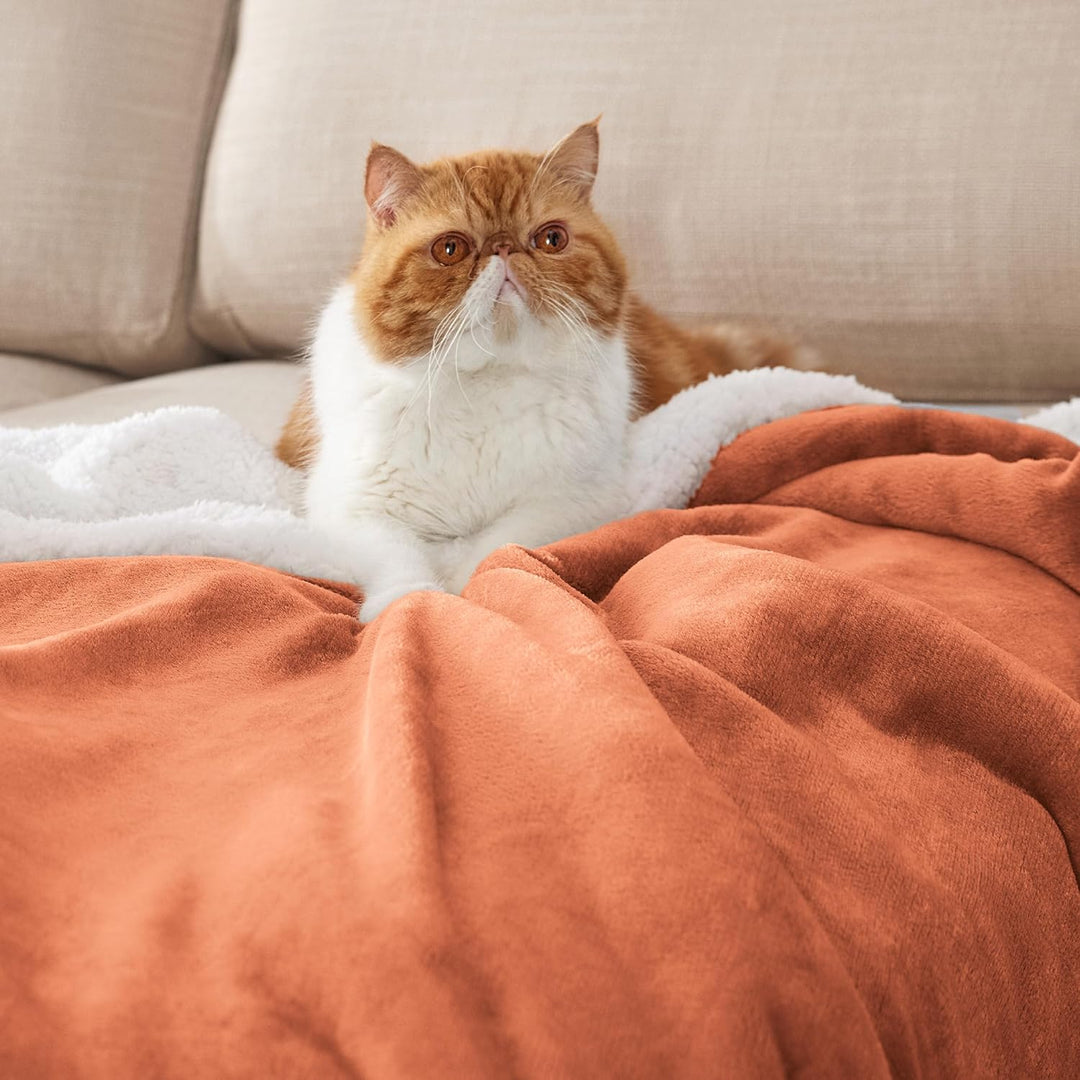 BEDSURE Kuscheldecke Flauschig Orange Sofaüberwurf Decke Sofa Klein als Couchdecke Überwurf und Wohn