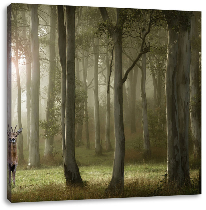 Pixxprint Einsamer Hirsch im tiefen Wald, Format: 70x70 auf Leinwand, 70x70