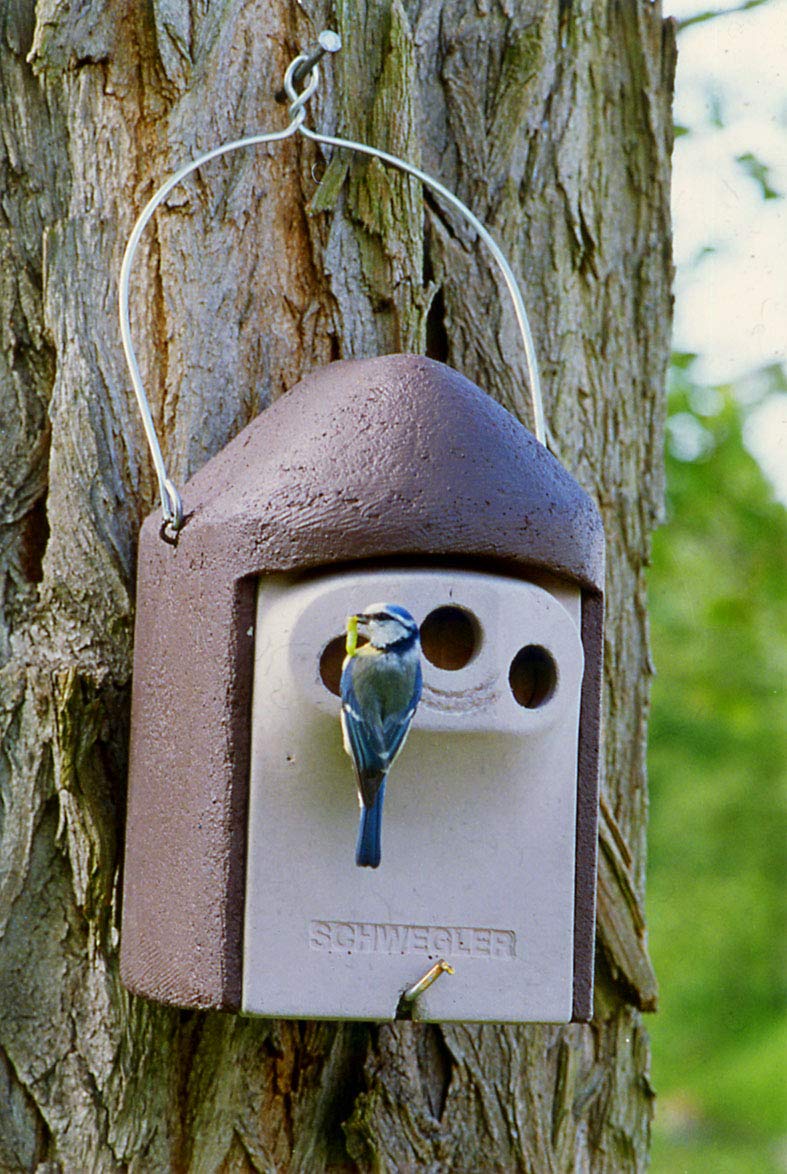 Vogelhaus, Nistkasten 2GR Dreiloch vergrösserter Brutraum, Made in Germany