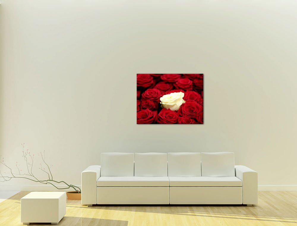Bilderdepot24 Bild auf Leinwand | Weisse Rose in 60x50 cm als Wandbild | Wand-deko Dekoration Wohnun