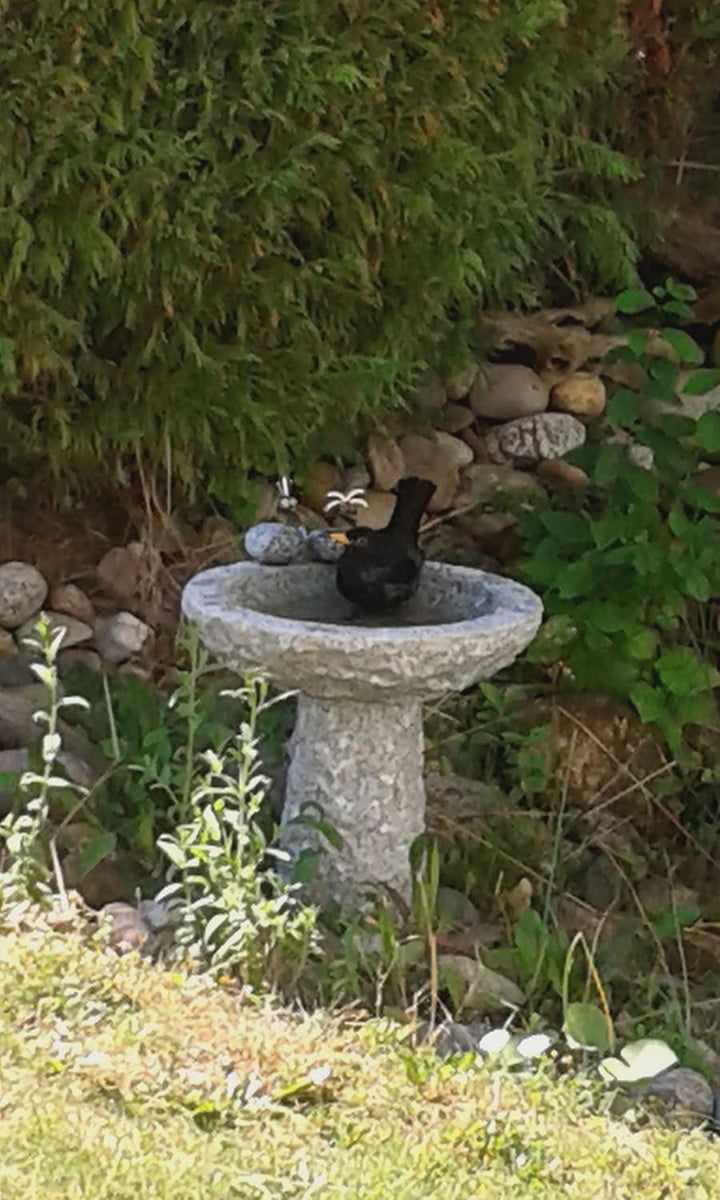 Gebrüder Lomprich Vogelbad aus Granit mit Fuss (1 Steinvogel am Rand sitzend)