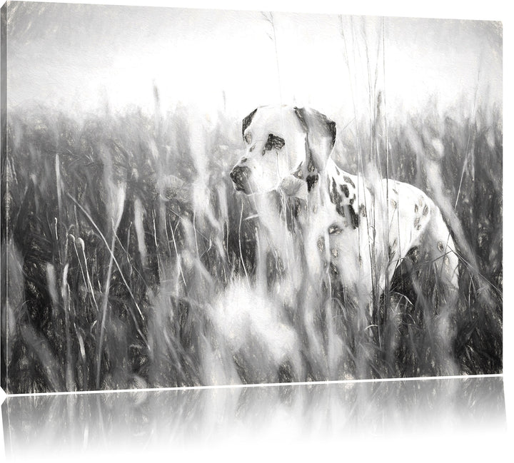 Pixxprint Neugieriger Hund im Feld Kunst als Leinwandbild/Grösse: 100x70 / Wandbild/Kunstdruck/ferti