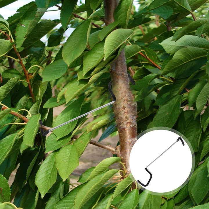 UKCOCO 18T Zweigstreuer: 20 Stück Obstbaumzweige – unterstützt das Wachstum neuer Zweige für Garten,