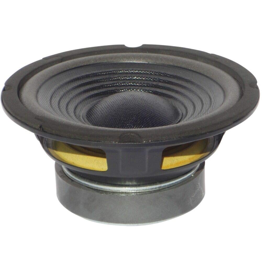 VOM GESCHÄFT LA MAISON CHIC 2011: LAUTSPRECHER NIEDRIGE MITTE WOOFER DIFFUSER MASTER AUDIO CW800/8 C