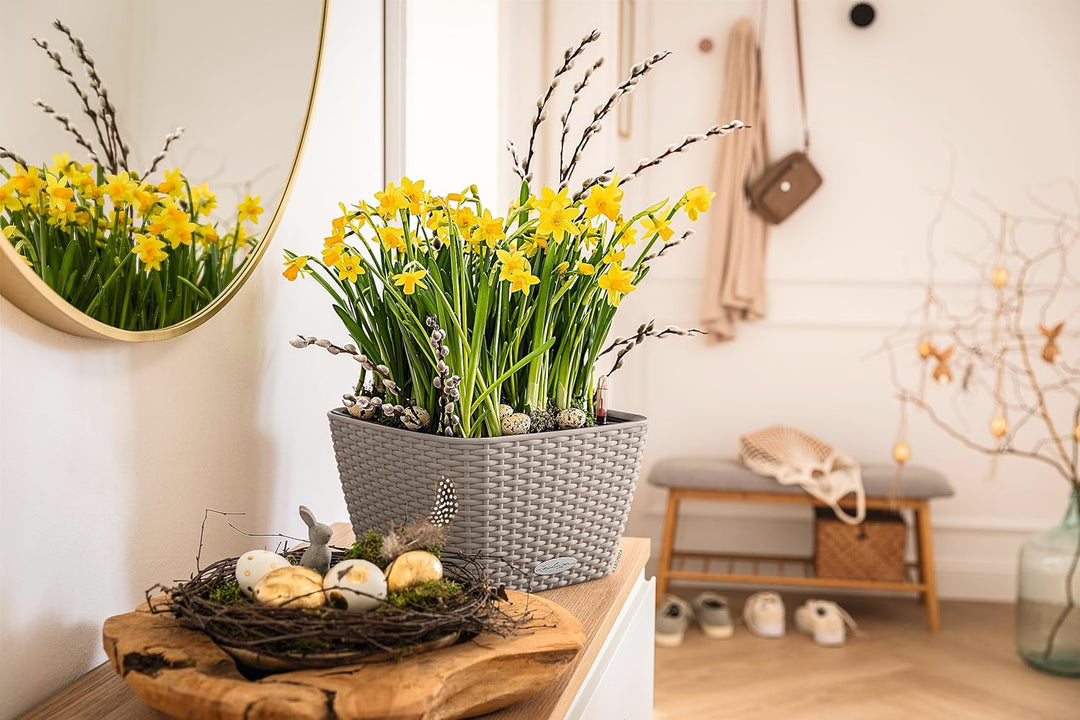 LECHUZA BACINO Cottage sandbraun 15458