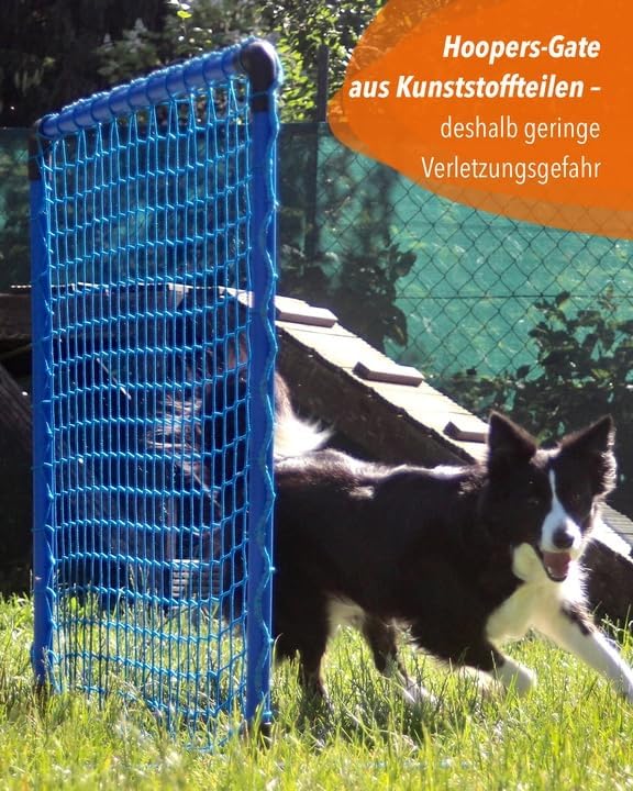 Hoopers Anfänger‑Set – 4 Hoops & Gate – VDH‑konform, UV‑beständig & flexibel – Blaue Hoops mit bunte