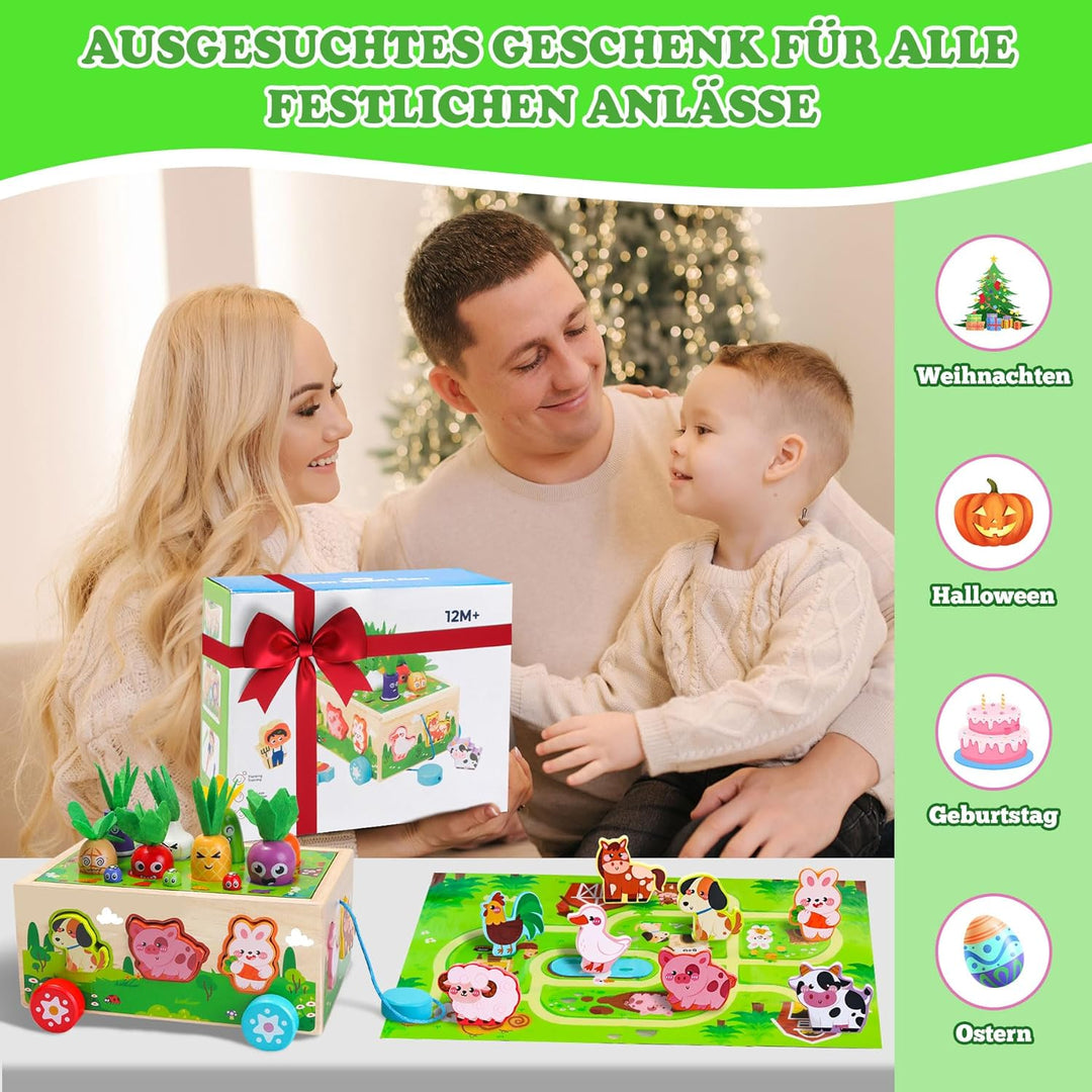 Tooysea Montessori Spielzeug ab 1 2 3 Jahr, Montessori Spielzeug Baby mit Landkarte, Karotten Stecks