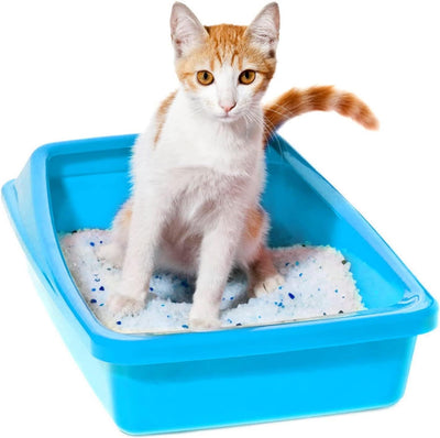 Nobleza - Arena para Gatos de sílice Camada para gatitos de Gel de Diamante 3.8L Absorbente， Cómodo