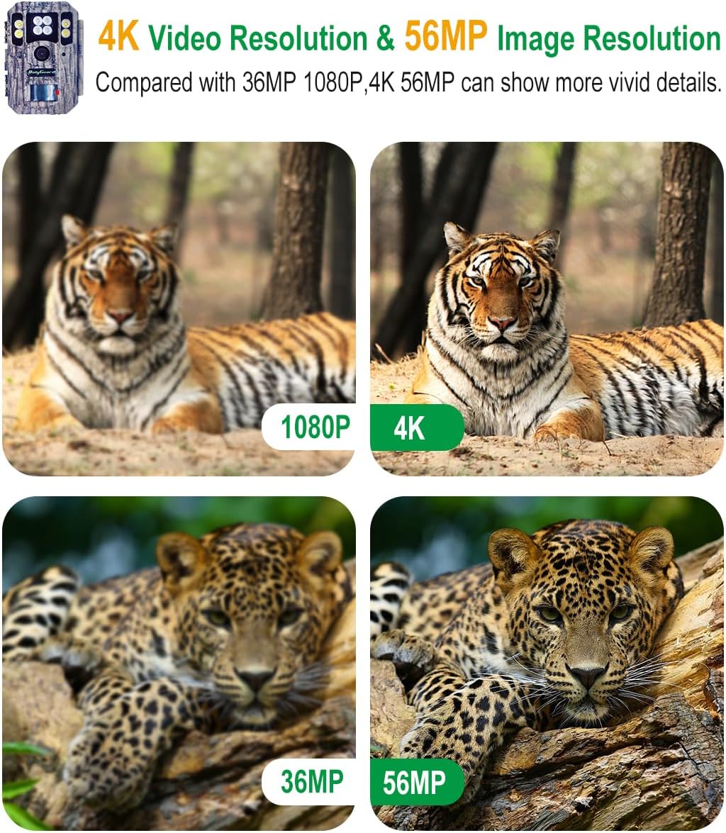 Trailkamera,Wildkamera 56MP Jagdkamera 4K Dual Objektiv Weiss LED mit 940nm unsichtbarem Blitz 100 -