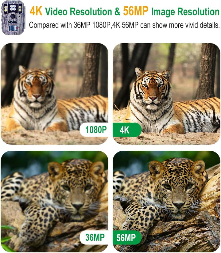 Trailkamera,Wildkamera 56MP Jagdkamera 4K Dual Objektiv Weiss LED mit 940nm unsichtbarem Blitz 100 -