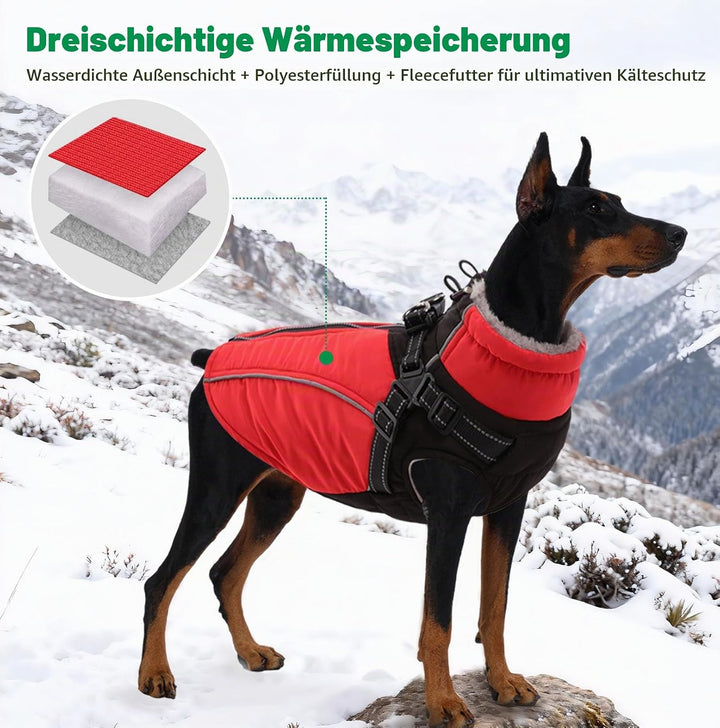 Hundemantel für Kleine Hunde Wintermantel Hund mit Geschirr Wasserdicht Hunde Jacke Reflektierende Ä