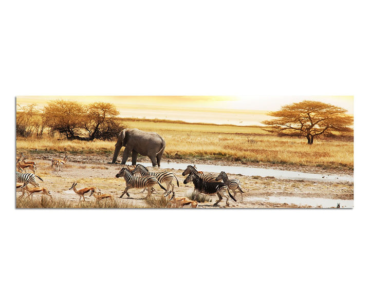 Paul Sinus Art Panoramabild auf Leinwand und Keilrahmen 150x50cm Afrika Safari Zebras Elefant Landsc