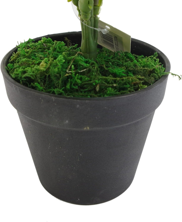 Leaf Farnpflanze, immergrün LEAF-7145 50cm Luxury fern 50cm Luxury Fern 50cm Luxury Fern, 50cm Luxur
