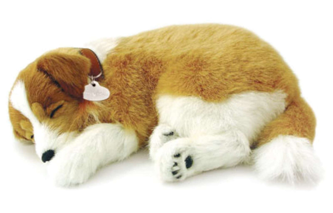 Perfect Petzzz Hundewelpe Collie, der richtig atmet the Breathing Puppy