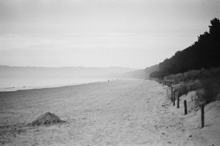 NP100 Schwarz/Weiss Kleinbildfilm (100/21 ISO) - 30,5 Meter B+W 35mm Film 30,5 Meter, B+W 35mm Film