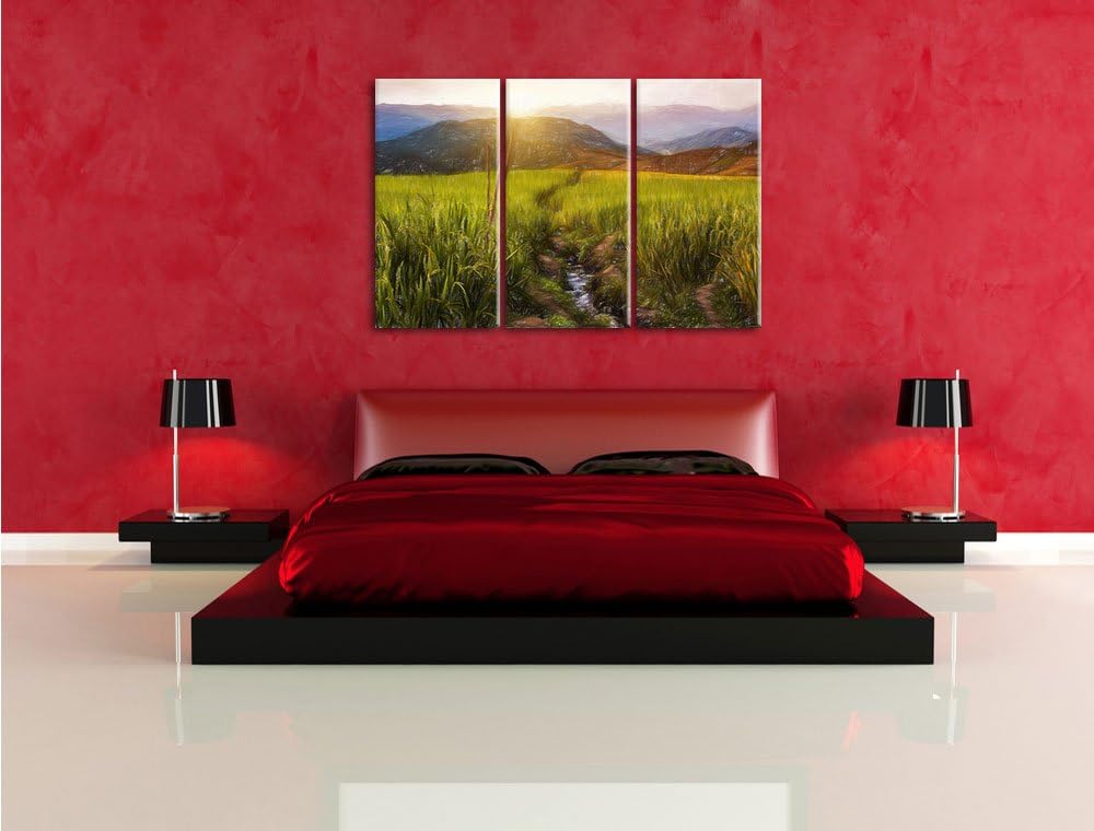 Pixxprint Reisfeld Plantage in Asien als Leinwandbild/Grösse: 3 Teilig (120x80) / Wandbild/Kunstdruc