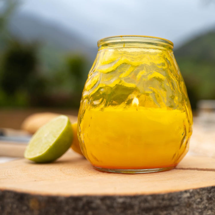 HOFER 6 x Bistro-Licht Citronella gelb | Windlicht Outdoor | Hochwertige Kerze im Glas mit Citronell
