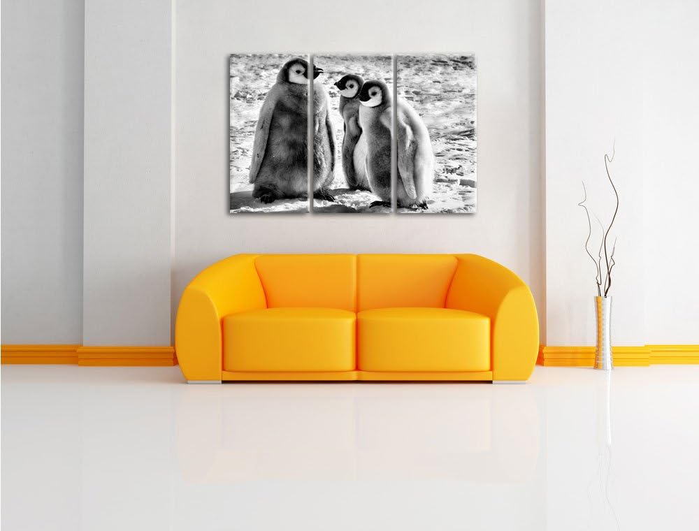 Pixxprint Monocrome, DREI Kaiserpinguinküken 3-Teiler Leinwandbild 120x80 Bild auf Leinwand