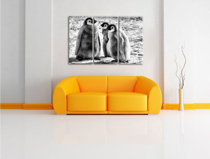 Pixxprint Monocrome, DREI Kaiserpinguinküken 3-Teiler Leinwandbild 120x80 Bild auf Leinwand