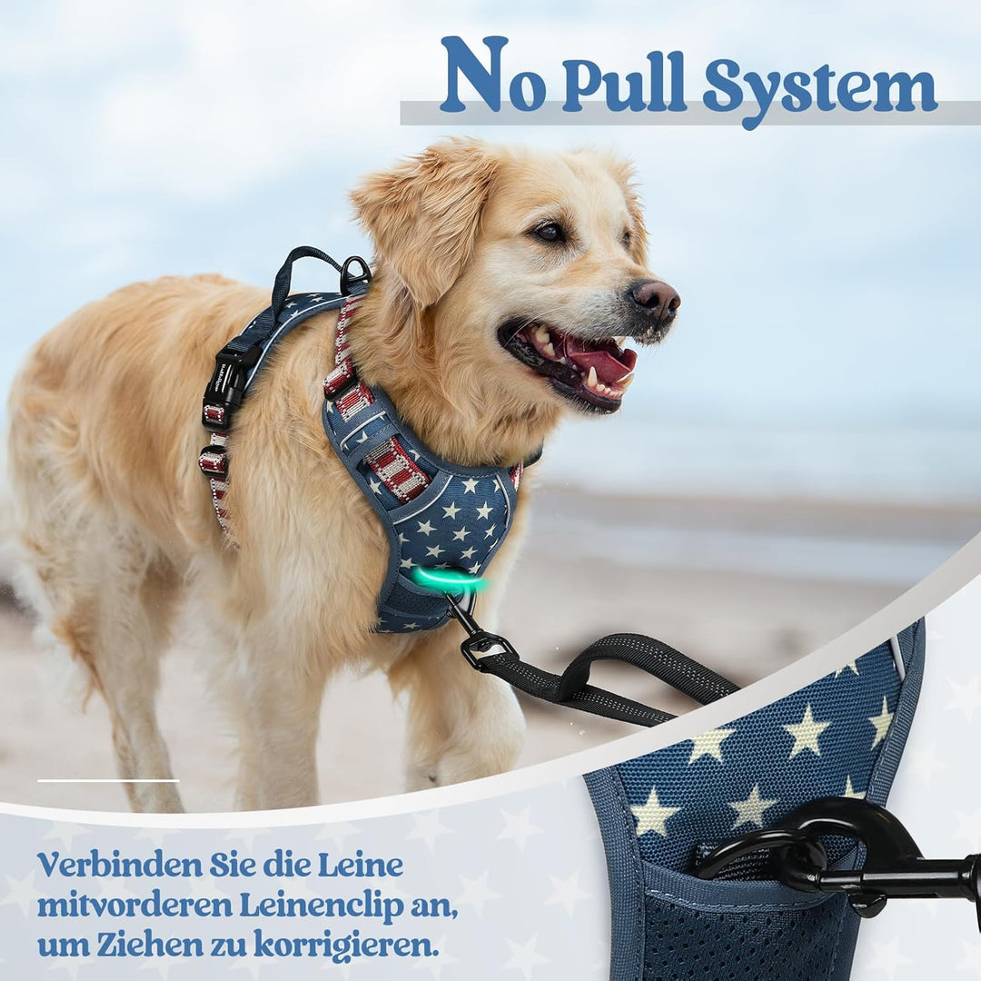 rabbitgoo Hundegeschirr Mittelgrosse Hunde, Anti Zug Geschirr mit Kontrolle, No Pull Verstellbar Hun